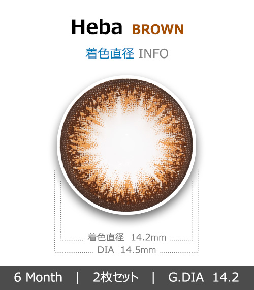 [6-Months] Heba Brown (2pcs)4