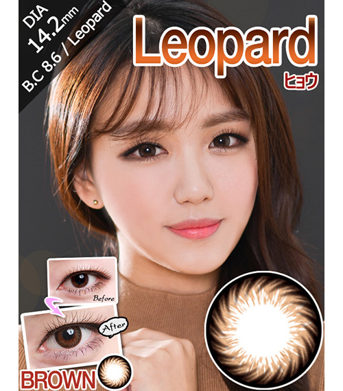 [6-Months] Leopard Brown (2pcs)1