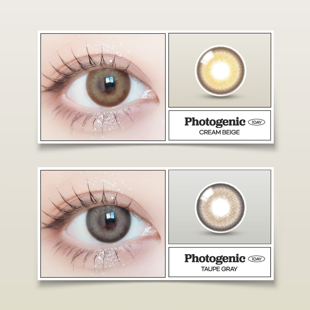 [1-Day] Photogenic Gray (10pcs)