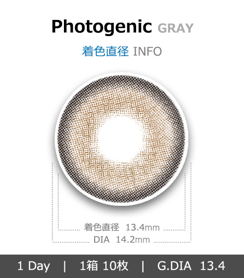 [1-Day] Photogenic Gray (10pcs)4