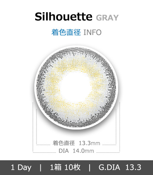 [1-Day] Silhouette Gray (10pcs)4