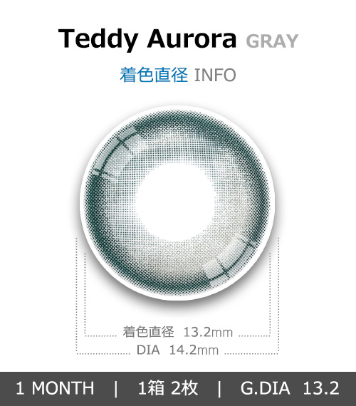 [1-Month] Teddy Aurora Gray (2pcs)4