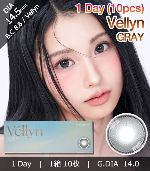 [1-Day] Vellyn GRAY (10pcs)1