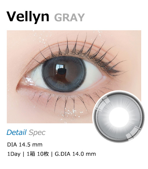 [1-Day] Vellyn GRAY (10pcs)