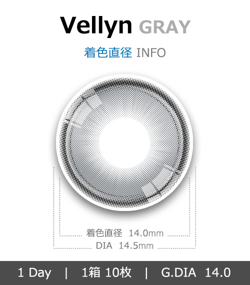 [1-Day] Vellyn GRAY (10pcs)4