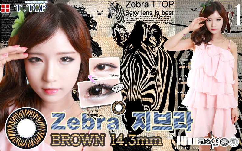 [6-Month] Zebra Brown (2pcs)