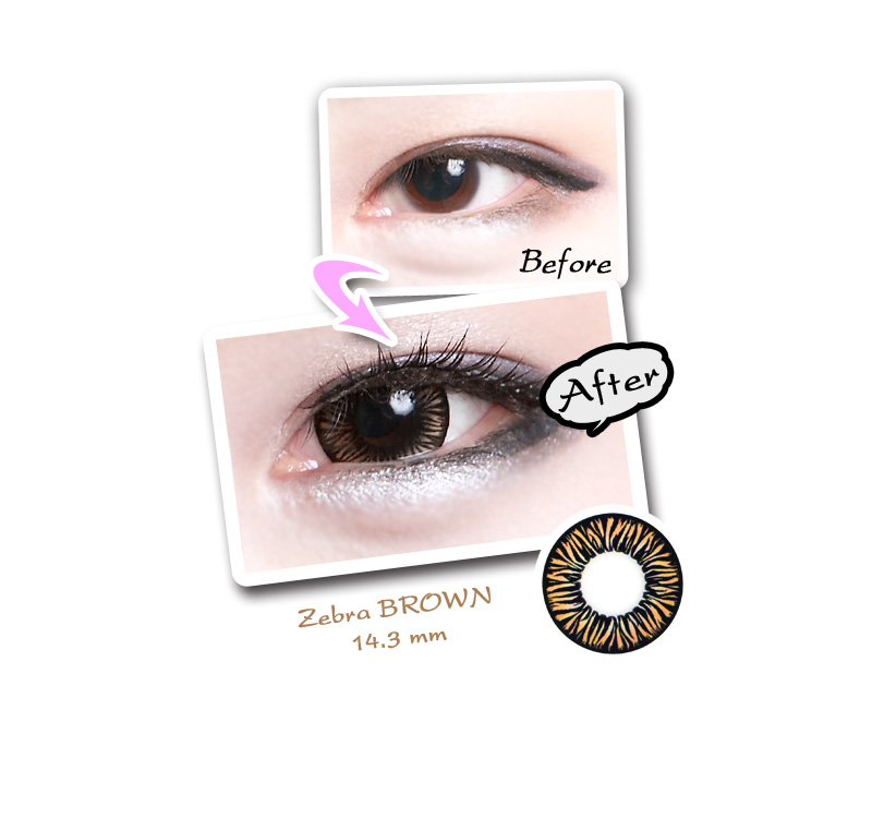 [6-Month] Zebra Brown (2pcs)